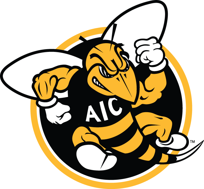 AIC Yellow Jackets 2009-Pres Alternate Logo iron on transfers for clothing